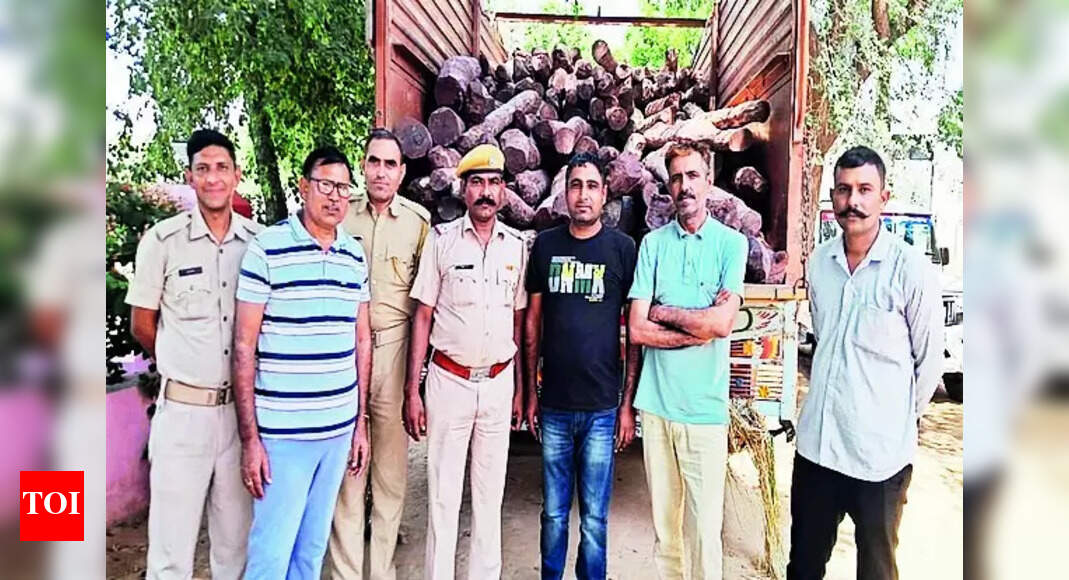 World Cup Red Sanders Worth ₹10cr Seized In Hanumangarh Jaipur News