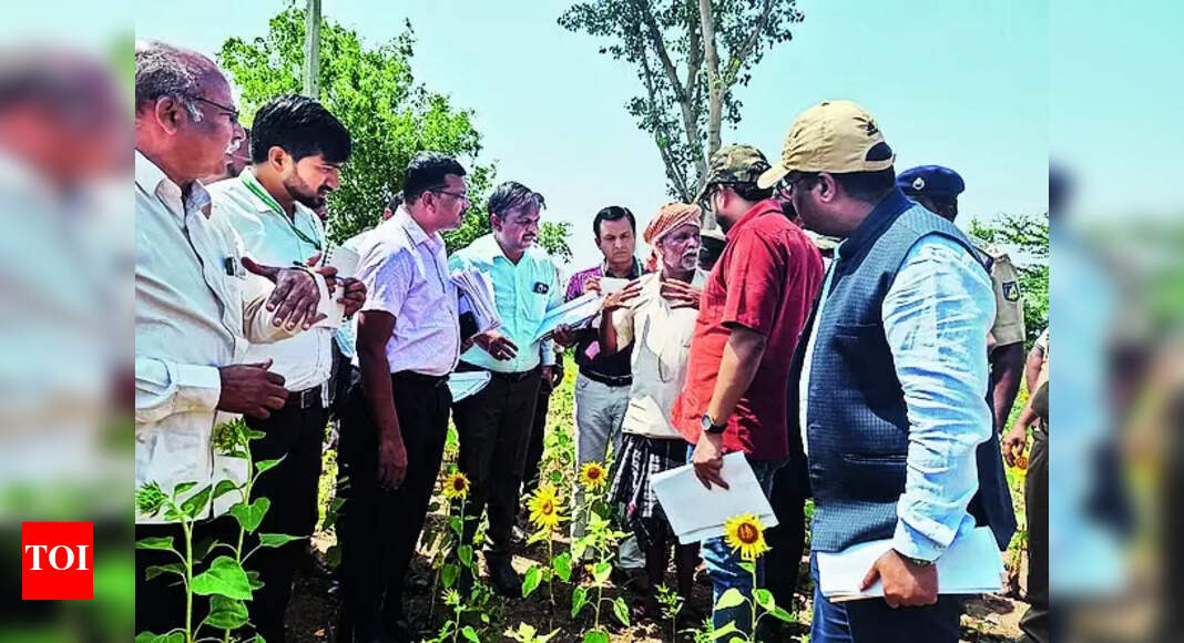 Drought Survey: Central Team Visits B’gavi To Assess Drought Situation ...