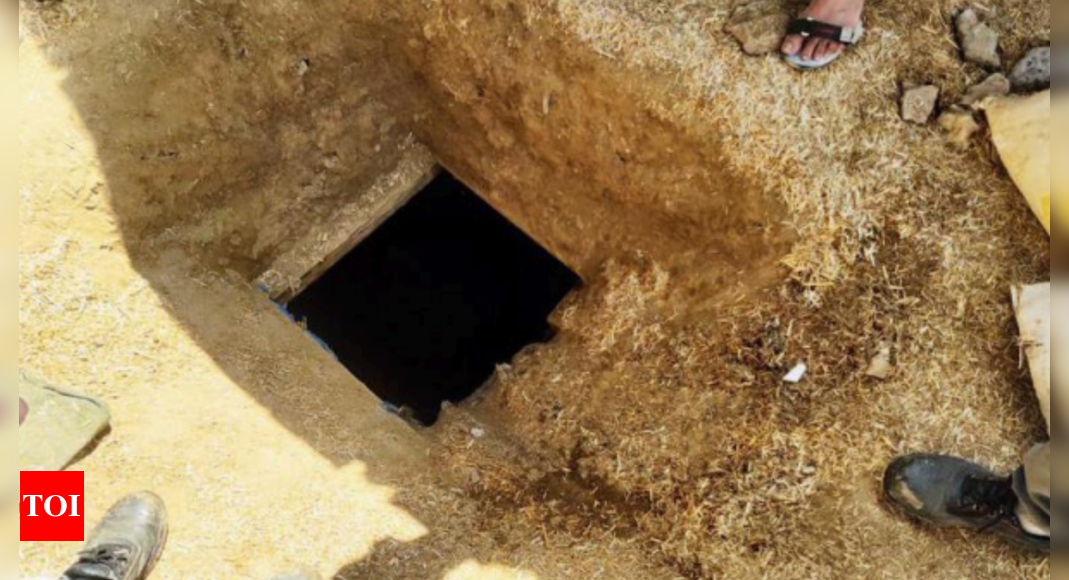 40-metre Tunnel, Plastic Pipes, Hay Cover: How Thieves Stole From 