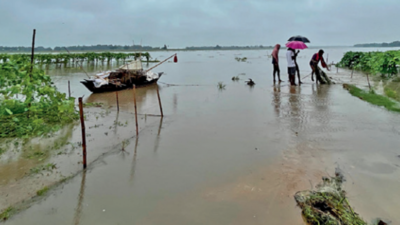 Dry start to monsoon, flooding at end hit crop