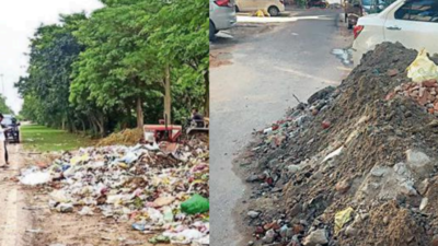 Mounds of garbage raise a stink in Gr Noida