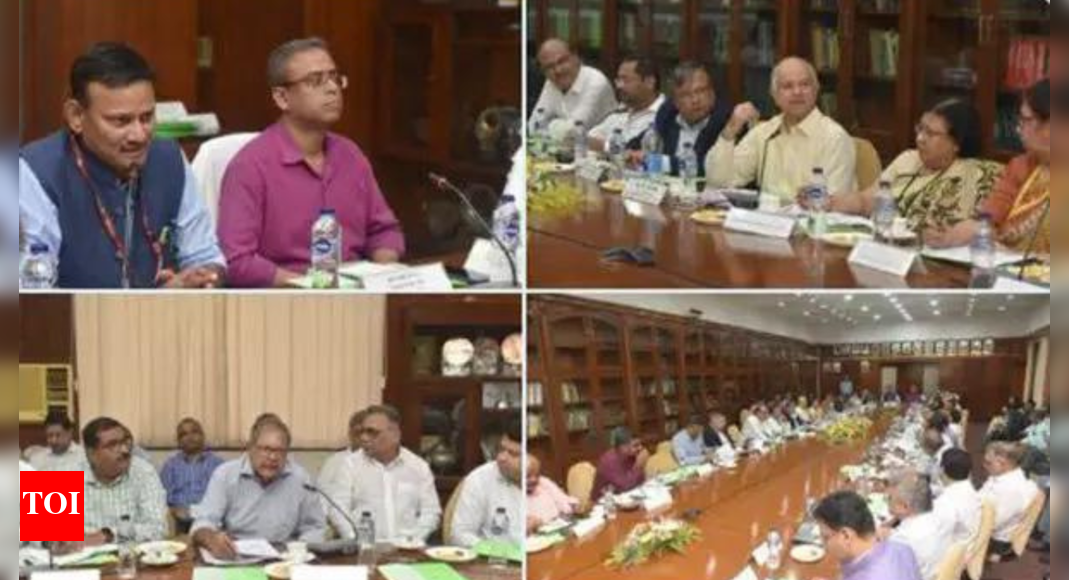 FSSAI reviews safety and quality standards of tea – Times of India