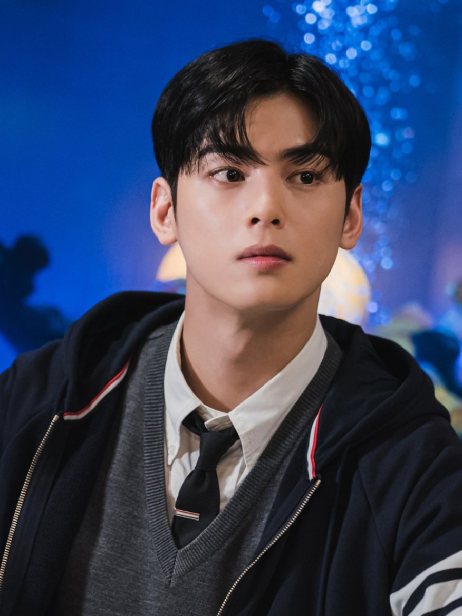 9 K-dramas Starring Cha Eunwoo: True Beauty, My ID Is Gangnam Beauty ...