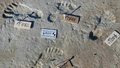 Fossil footprints found in New Mexico suggest humans existed long before we think