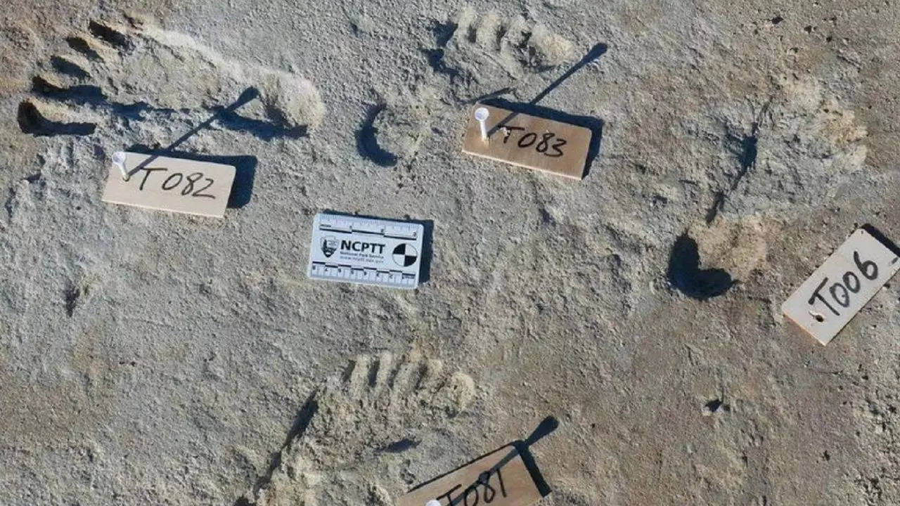 Fossilized Footprints - White Sands National Park (U.S. National