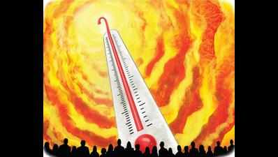 Heat spurt beyond tolerance could spell doom for 2.2bn in India, Pak