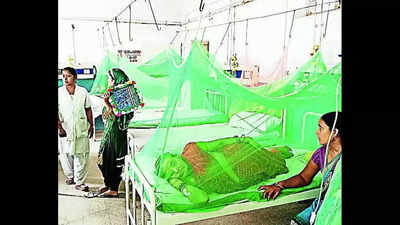 Bihar registers 119 new dengue cases