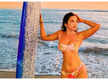 
Mitali Mayekar gets trolled for posting pics in bikini

