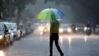 Rain lashes Chennai suburbs