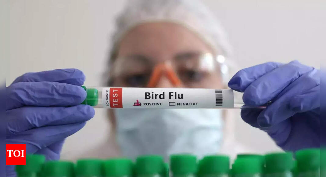Deadly bird flu reappears in US commercial poultry flocks in Utah and ...