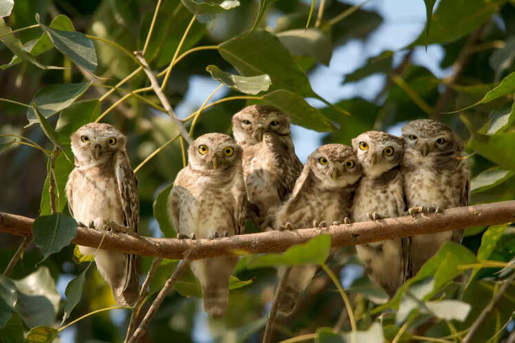 All eyes on you! 