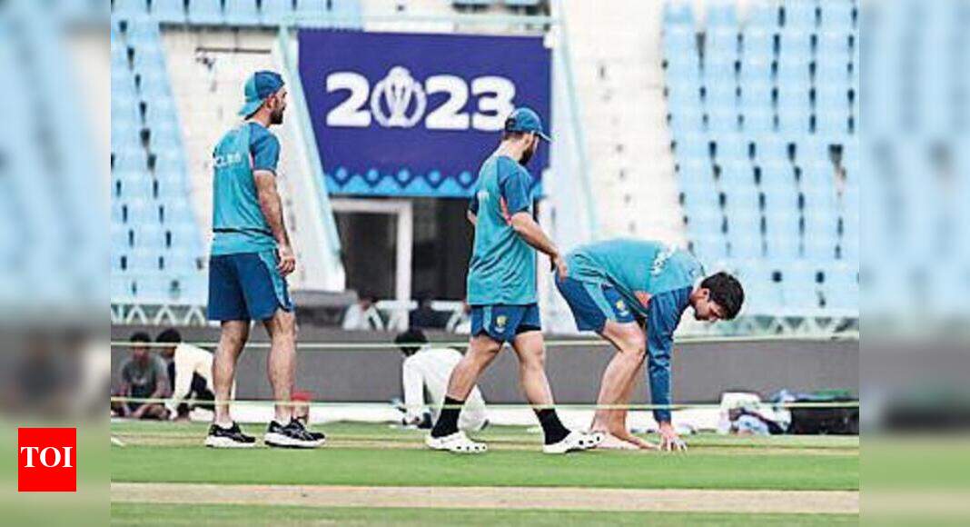 Will Stoinis be back in action to give Oz an edge? Cricket News Times of India