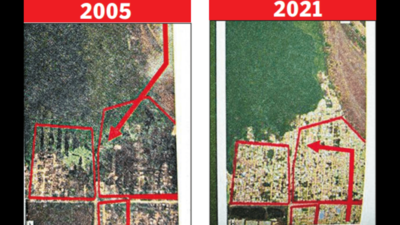 Chennai marshland overrun by illegal buildings; water spread has shrunk in 2 decades: CAG