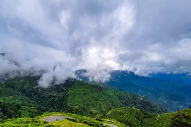 Neora Valley National Park, West Bengal