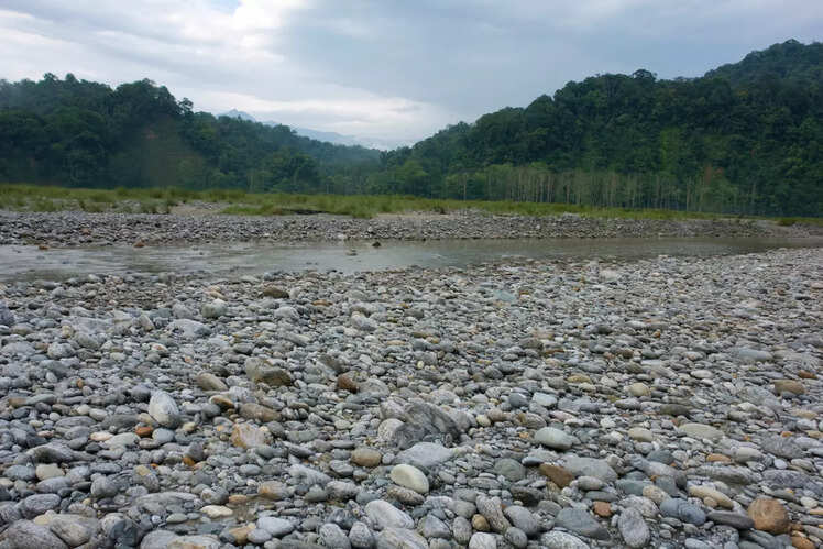 Namdapha National Park, Arunachal Pradesh