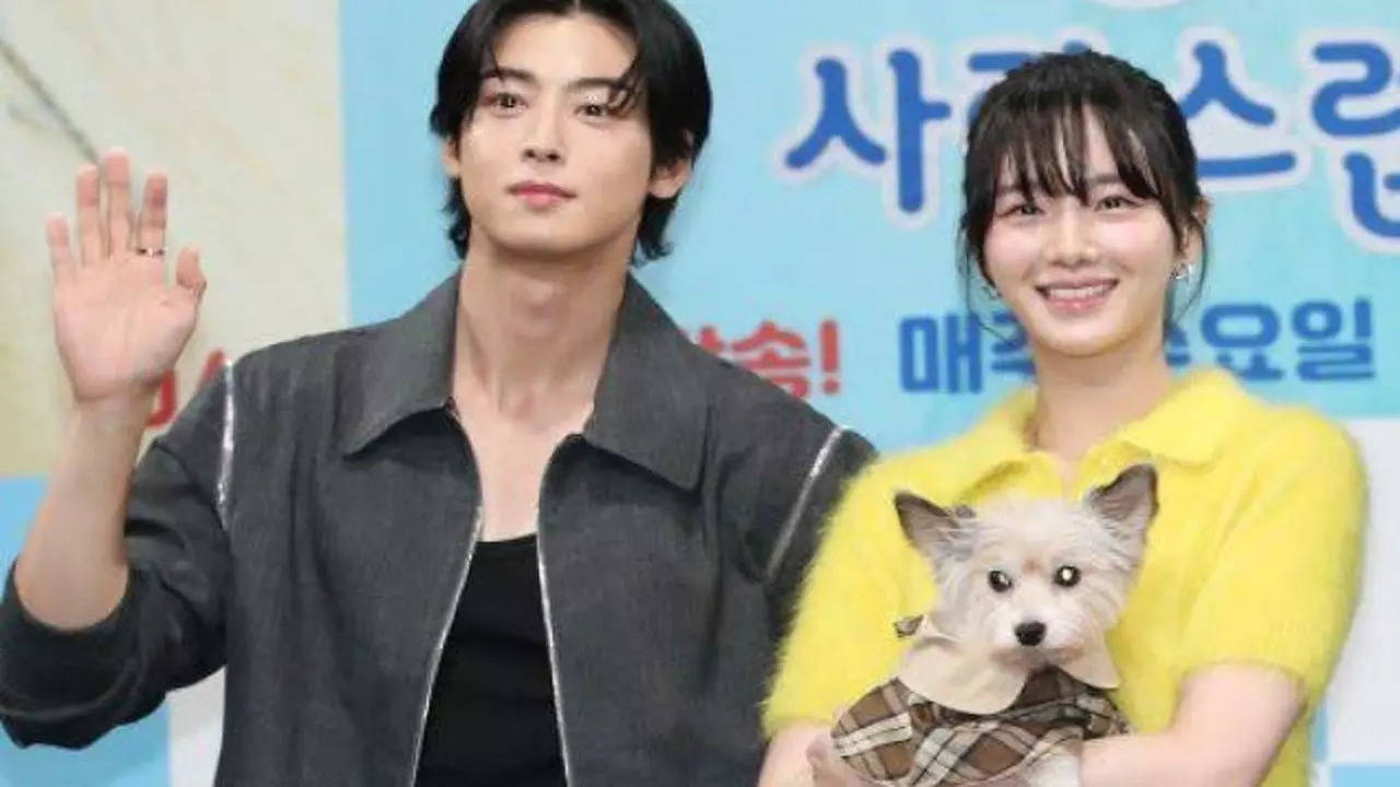 Cha Eun-woo on A Good Day to Be a Dog: This drama has a unique