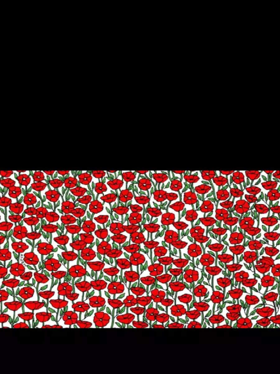 Optical Illusion Test Spot The Candy In Just 5 Seconds Times Now