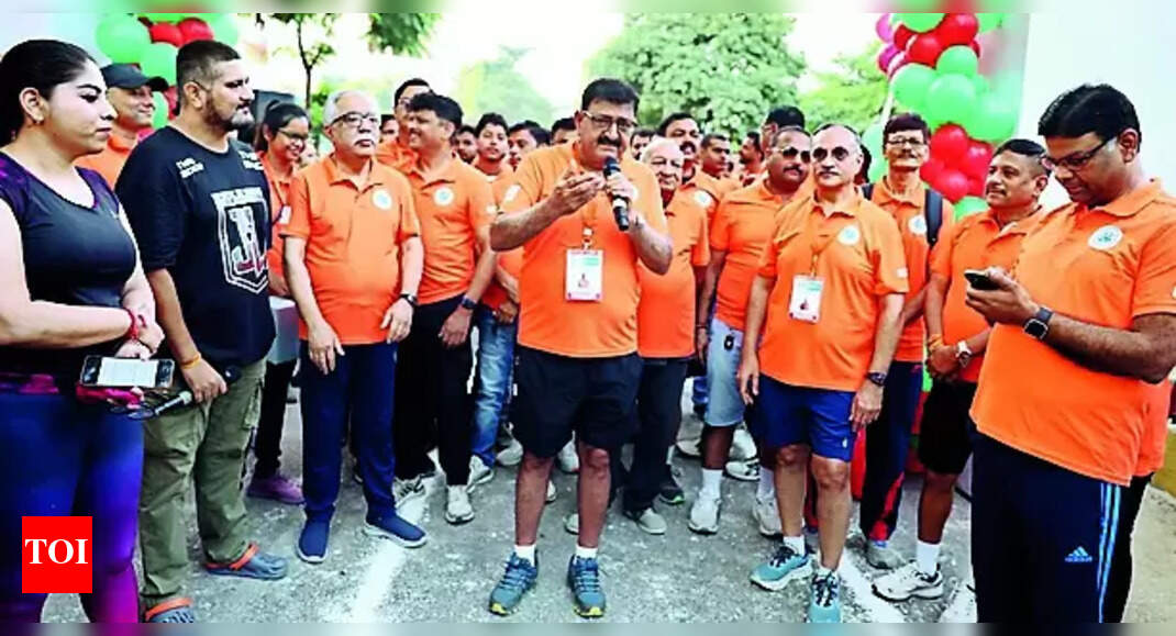 World Arthritis Day Experts Dwell On Basics Of Arthritis Mgmt Lucknow News Times of India