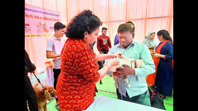 NGO holds anti-rabies vax camp in Sambhajinagar