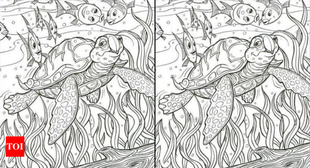 Otter Coloring Book for Adults: Cute Mandala Otter Coloring Book for Adults  Made with 40 Different Unique Otter Illustrations