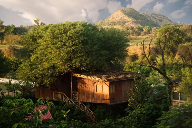 Tree House Resort in Jaipur, Rajasthan