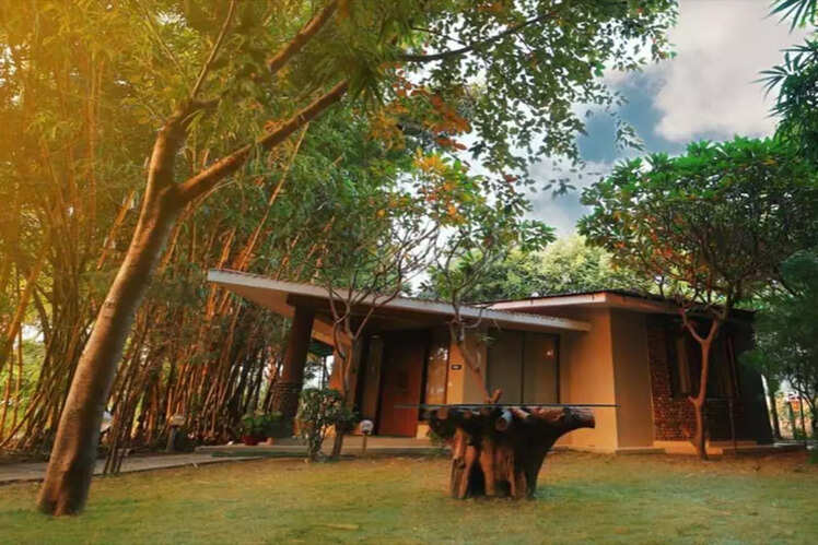 ​Corbett Tusker Trail in Ramnagar, Uttarakhand