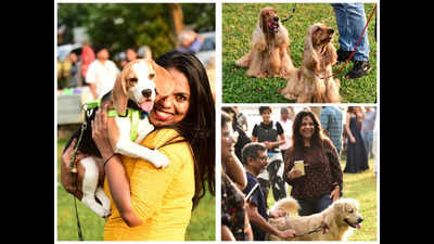 Hey hoomans; Kochi now has a dog park