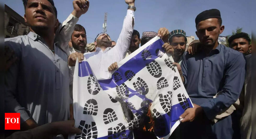 Protesters in Pakistan denounce Israel's siege of Gaza; express solidarity with Palestinians