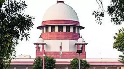 Our law on abortion is liberal & forward looking, says Supreme Court