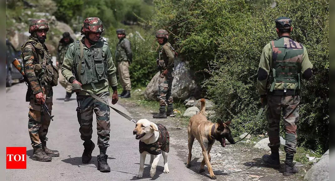 Abandoned bag with pistol, ammunition seized in Jammu-Kashmir’s Poonch