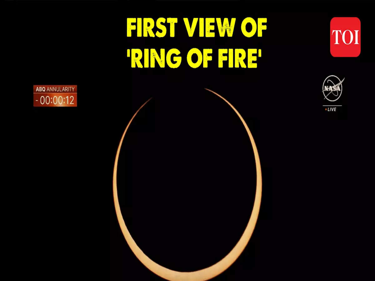 Spectacular LOTR Gold Ring