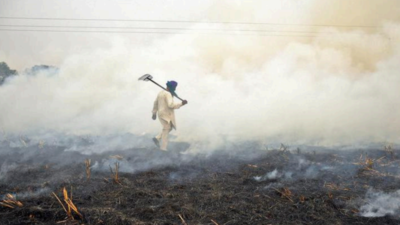 Check stubble burning, Delhi LG V K Saxena tells Haryana, Punjab CMs