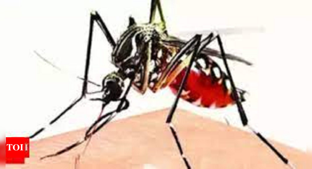 State logs 299 fresh dengue cases in 24 hrs - IndiaTimes