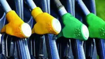 Fuel dealers in Telangana feel heat over cash seizures, seek CEO help