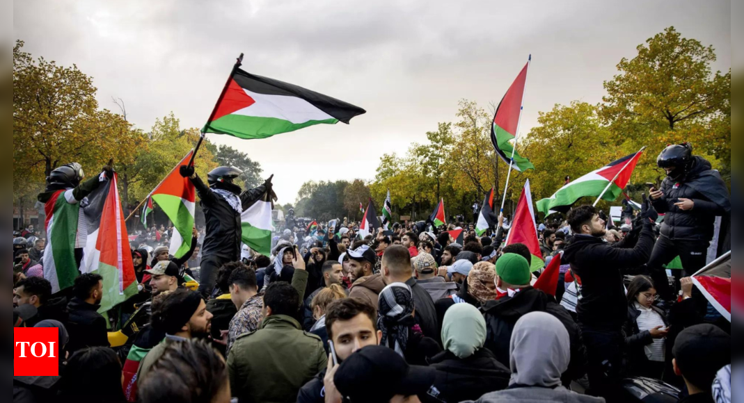 Thousands march in Amsterdam in support of Palestinians