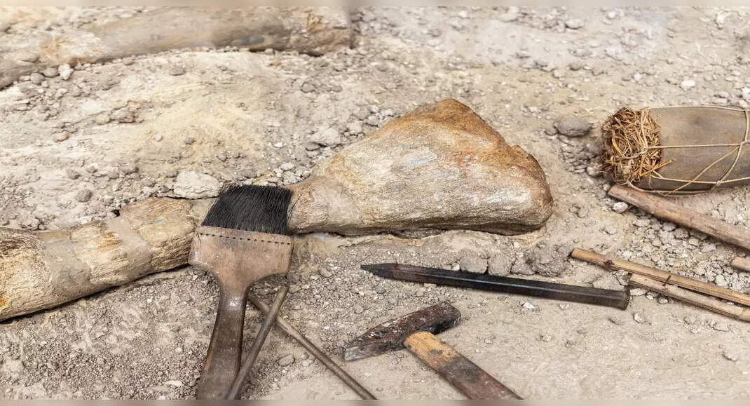 Know all about megalithic site of Hasmathpet Cairns in Secunderabad ...