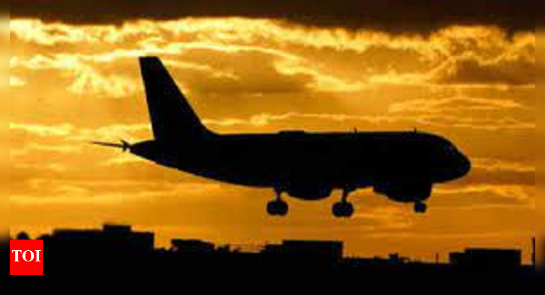 Too heavy to fly: Special flight booked for Sumo wrestlers