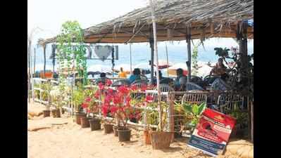 Delayed allotment hits shack owners’ biz