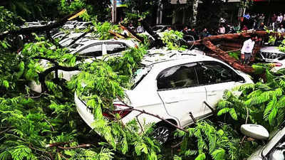 6 cars crushed as tree falls in Sec 8 parking