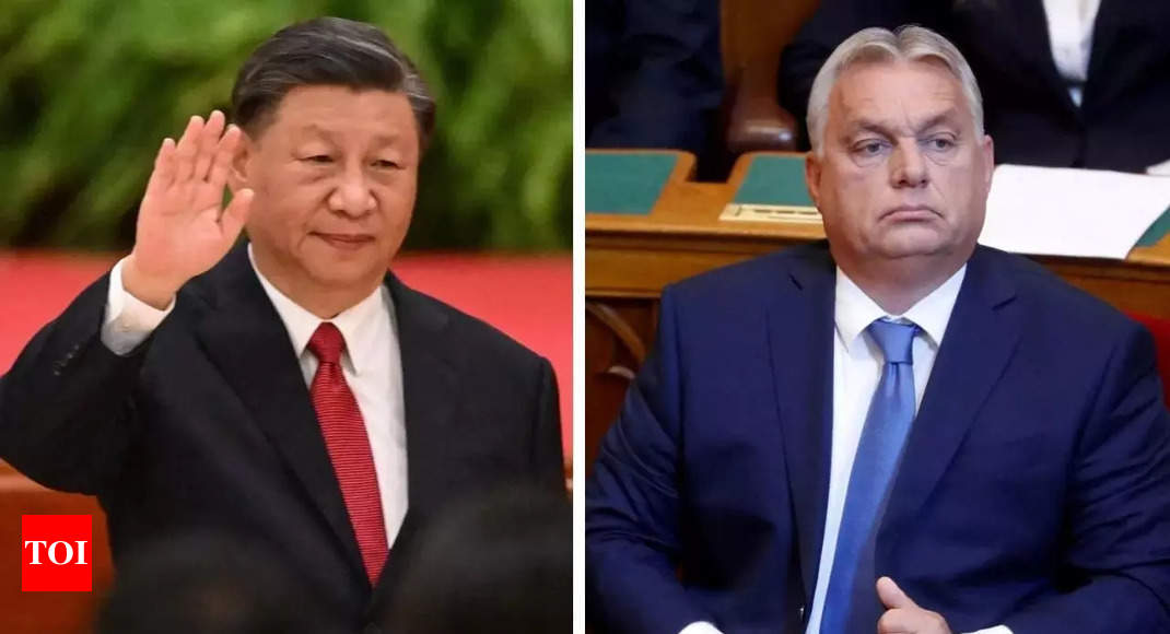China's President Xi Jinping says he considers Hungary's Prime Minister  Viktor Orban a 'friend' - Times of India