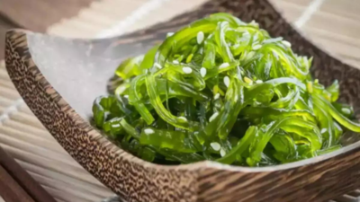 Back on the menu? Europeans once ate seaweed, research shows