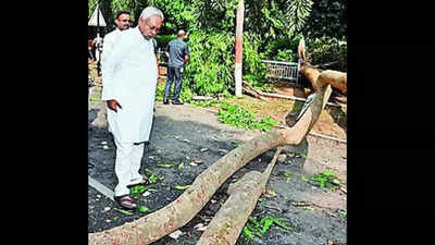 CM walks to Secretariat asuprooted trees block roads