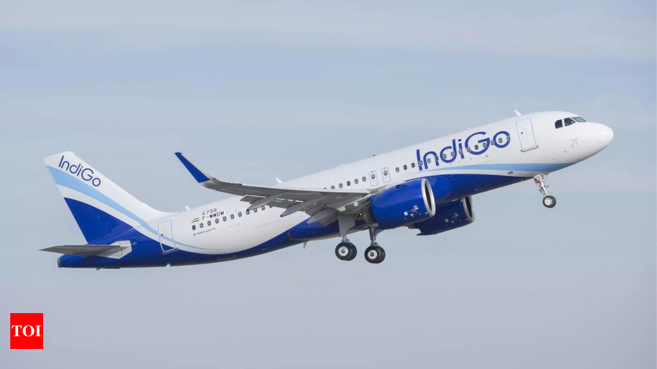 Indigo flight sales hand luggage