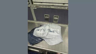 Adult diaper, mistaken for a bomb, causes emergency landing of a plane
