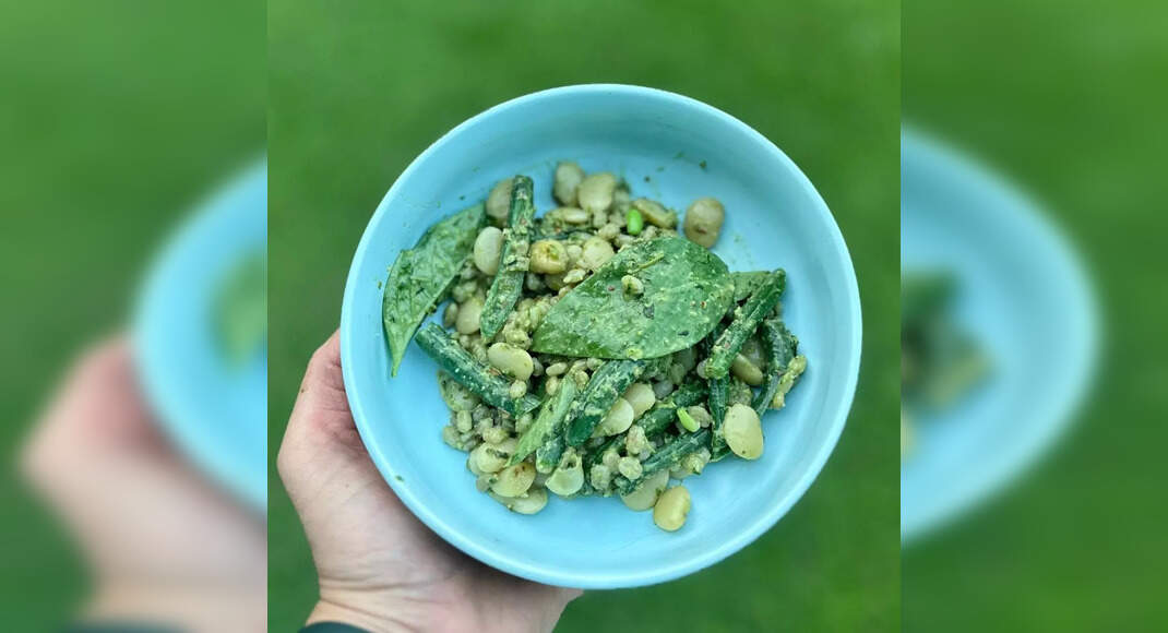 Lima Edamame Barley Pesto Salad recipe by Ritu Oswal on Times Food
