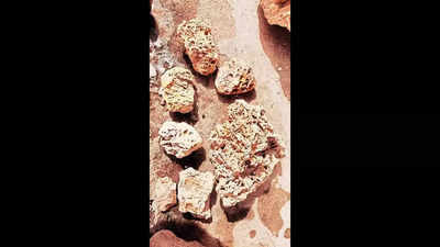 Geologist unearths coral reef fossils in Ladakh Himalayas