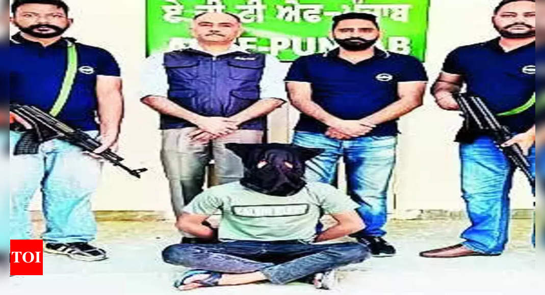 Bishnoi Gang Member Held With 4 Pistols In Kharar | Chandigarh News ...