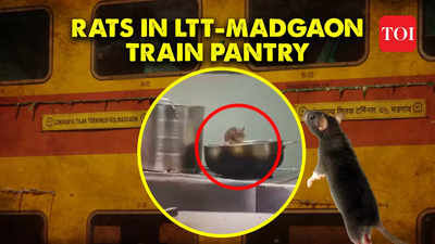 Viral video shows rats feasting on food supplies in LTT-Madgaon train pantry, probe ordered