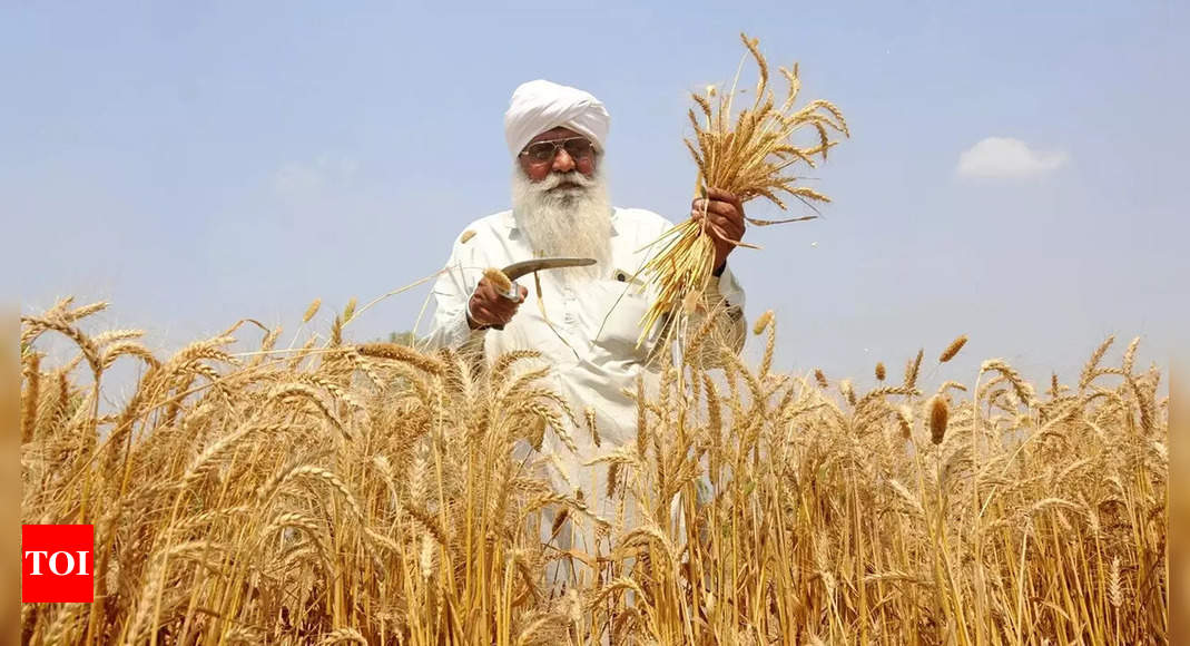 MSP hike for rabi crops gets nod; masur, mustard see highest