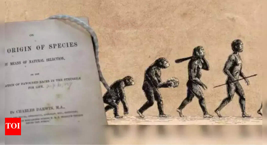 Biology: What's the 'missing' law on the evolution of everything ...